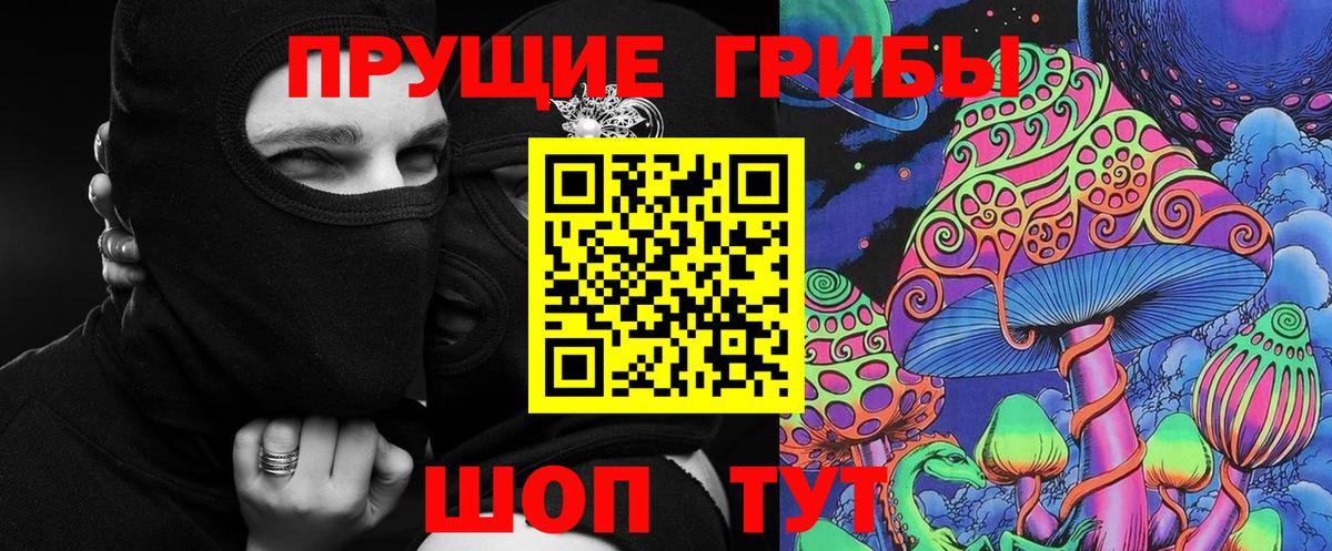 Галлюциногенные грибы Cubensis Ефремов